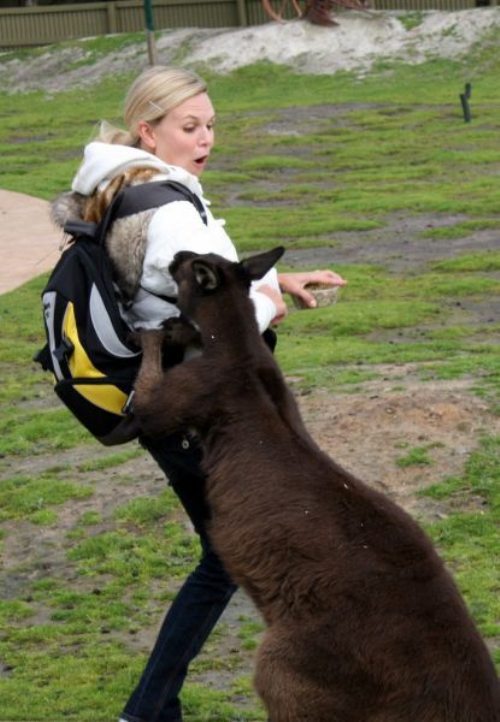 8-hilarious-fails-of-girls-and-animals