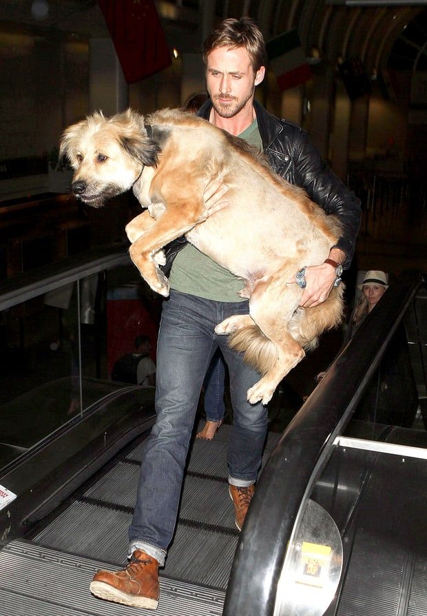9-celebrities-totally-in-love-with-their-pets