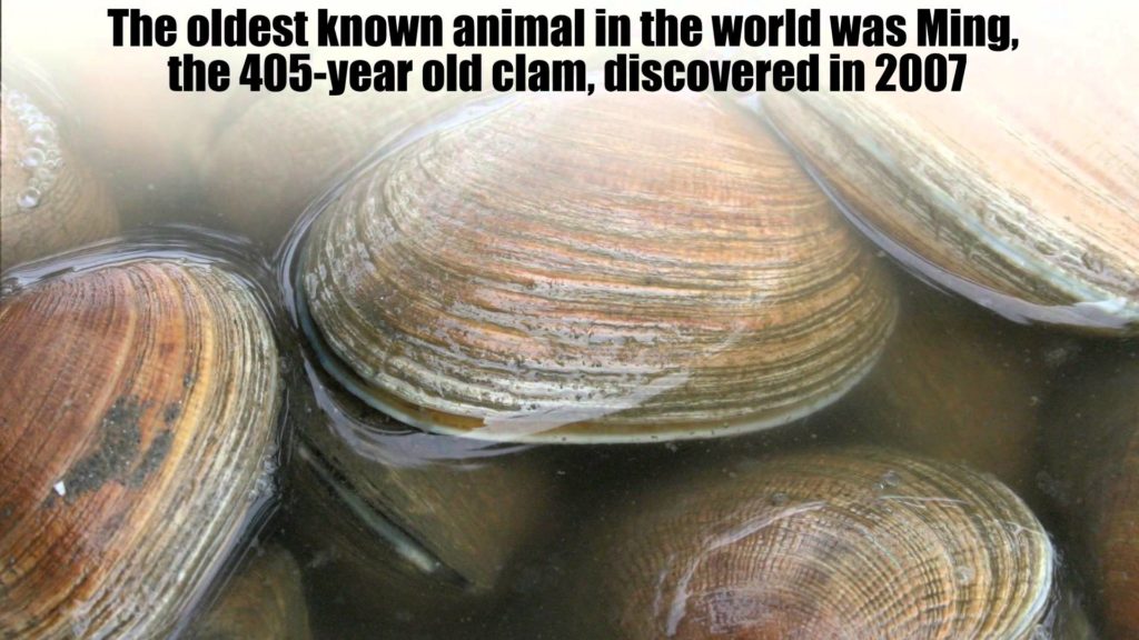 7-animal-facts-that-will-totally-blow-your-mind