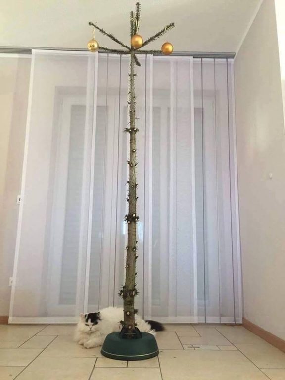 10-how-these-people-saved-christmas-trees-is-brilliant