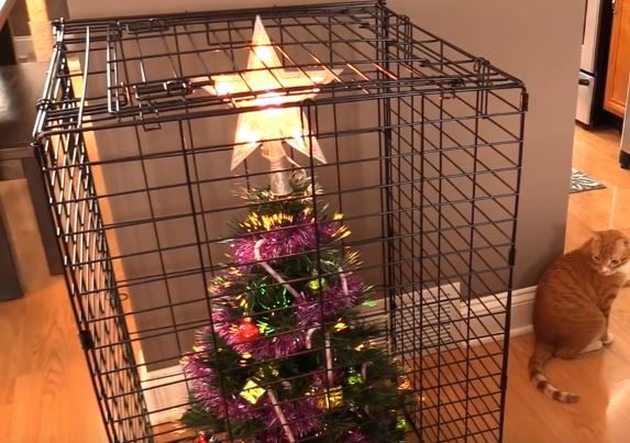 11-how-these-people-saved-christmas-trees-is-brilliant