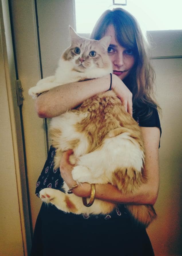 12-cats-so-large-they-seem-out-of-this-world