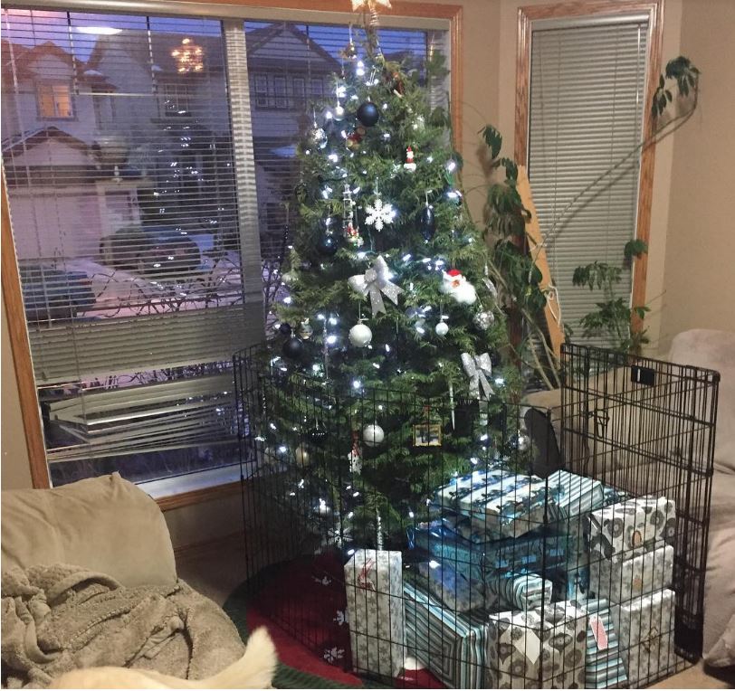 16-how-these-people-saved-christmas-trees-is-brilliant