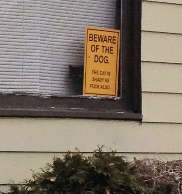 20-why-are-these-beware-of-dog-signs-even-here