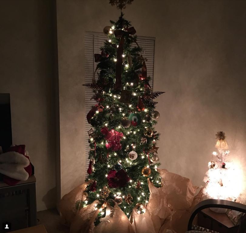 4-how-these-people-saved-christmas-trees-is-brilliant