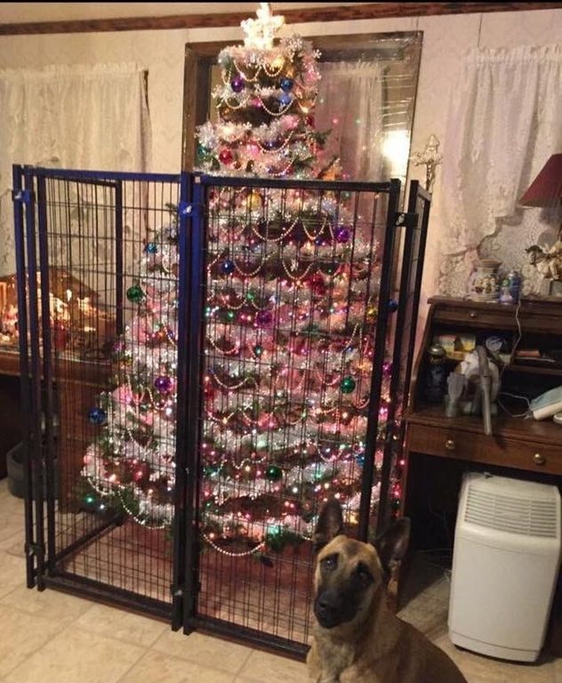 6-how-these-people-saved-christmas-trees-is-brilliant