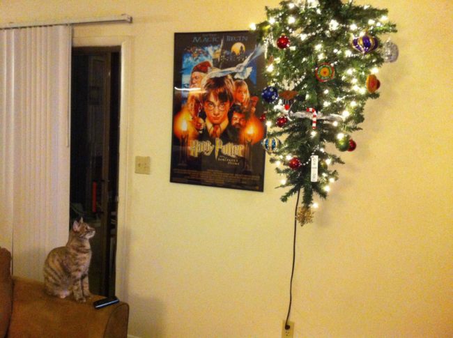 8-how-these-people-saved-christmas-trees-is-brilliant
