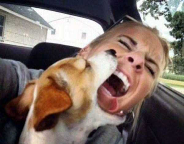 1-pets-and-their-hilarious-reaction-to-selfies