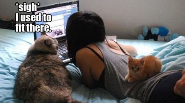 10-hilarious-moments-between-girls-and-animals