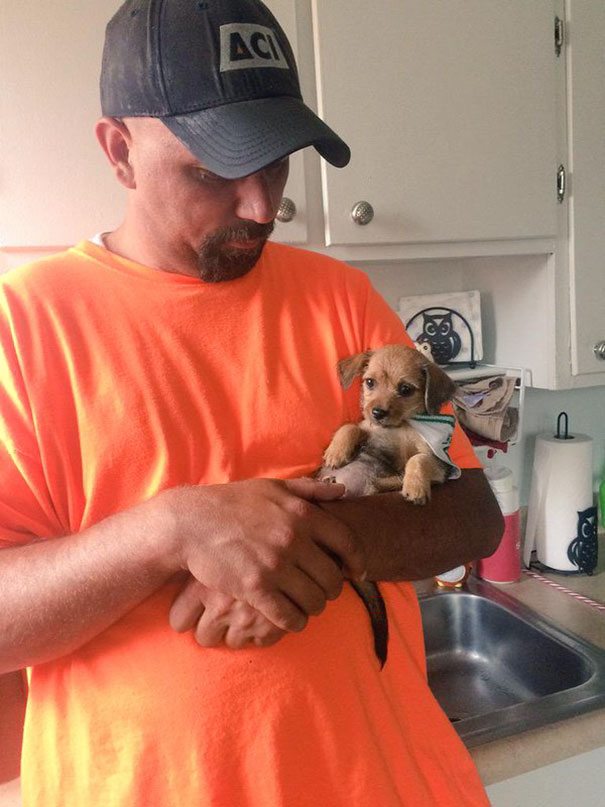 12-dads-who-didnt-want-dogs-at-first