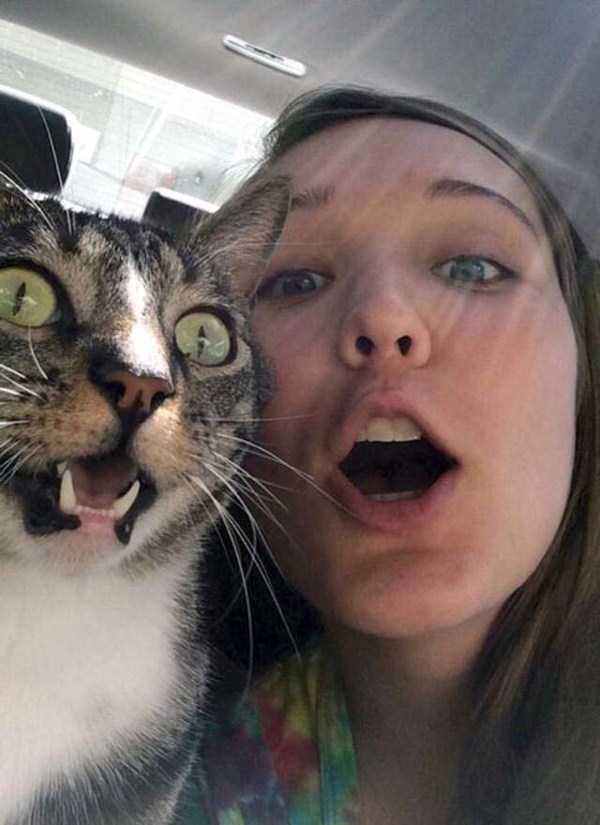 17-pets-and-their-hilarious-reaction-to-selfies