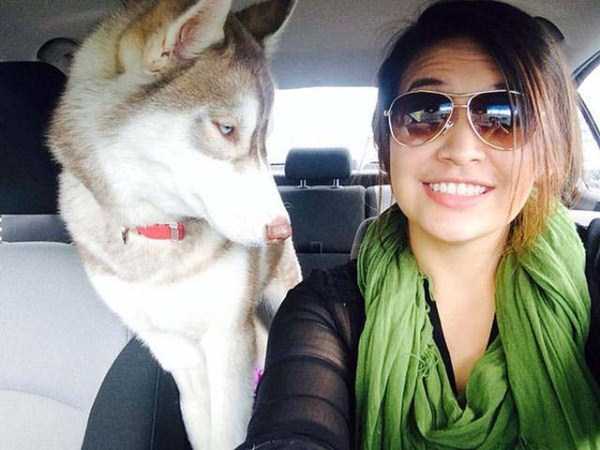 18-pets-and-their-hilarious-reaction-to-selfies