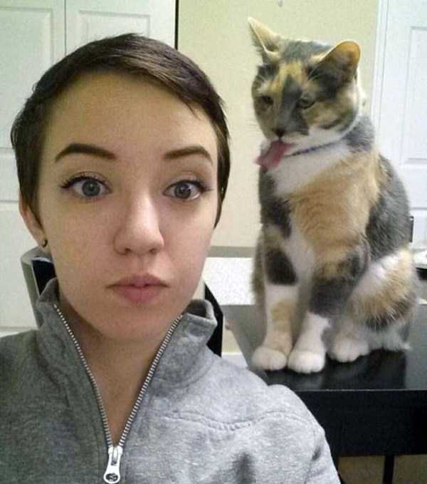 19-pets-and-their-hilarious-reaction-to-selfies