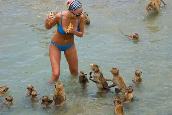 20-unlucky-people-who-tried-to-bond-with-grumpy-animals