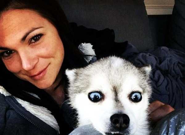 22-pets-and-their-hilarious-reaction-to-selfies
