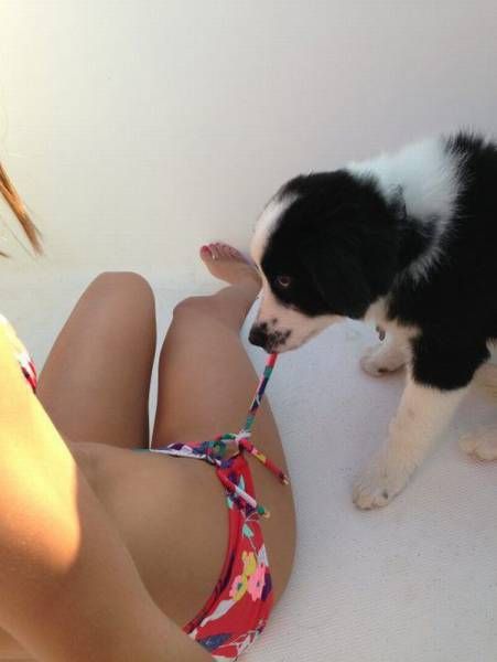5-hilarious-moments-between-girls-and-animals