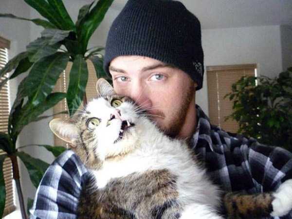 5-pets-and-their-hilarious-reaction-to-selfies