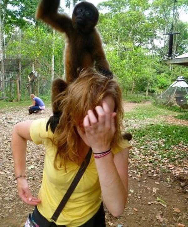9-hilarious-moments-between-girls-and-animals