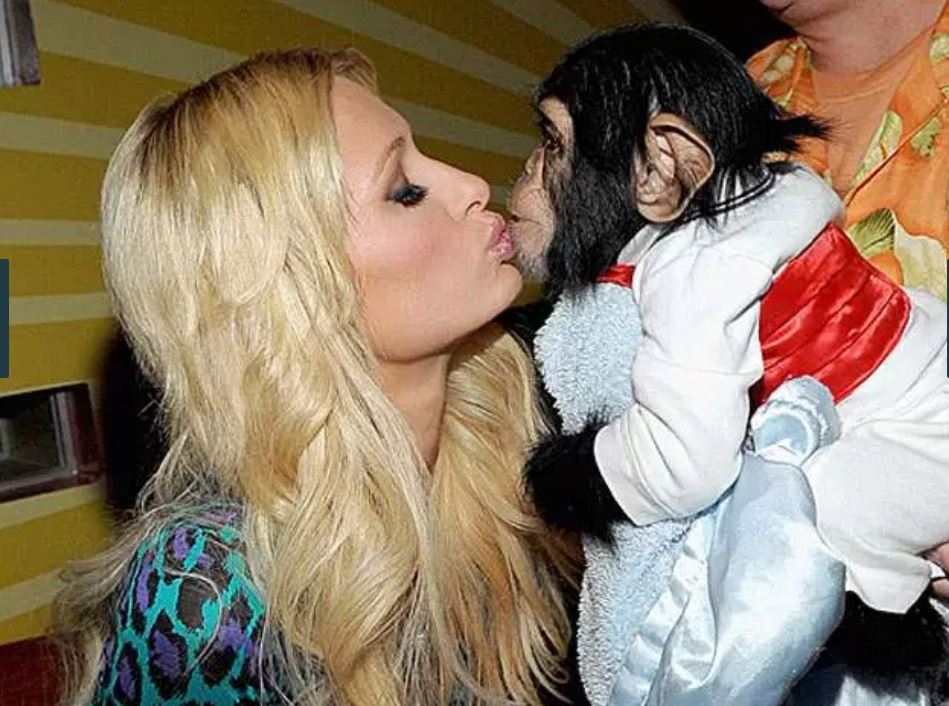 11-girls-and-monkeys-perfectly-timed-pics