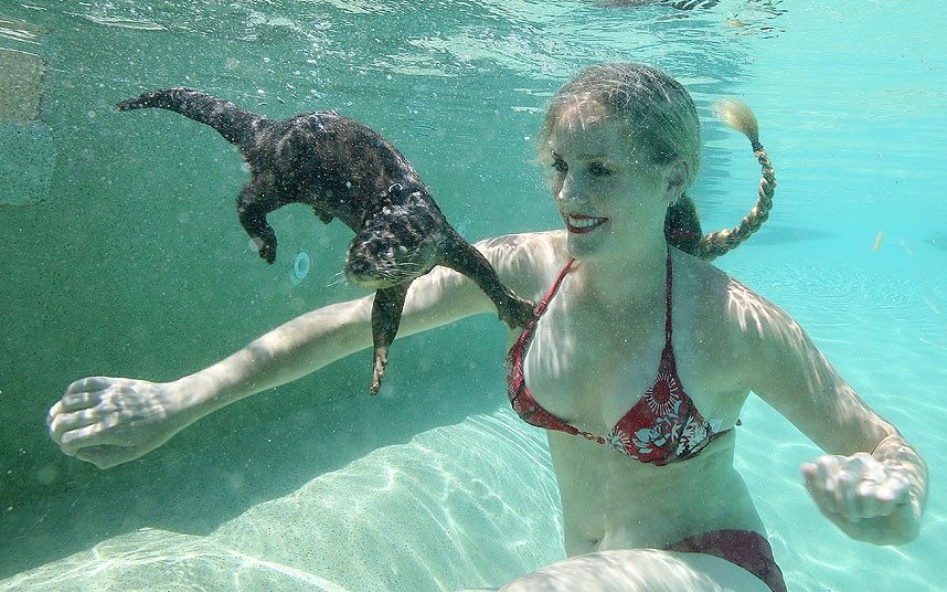 14-beautiful-woman-underwater-photo-animal