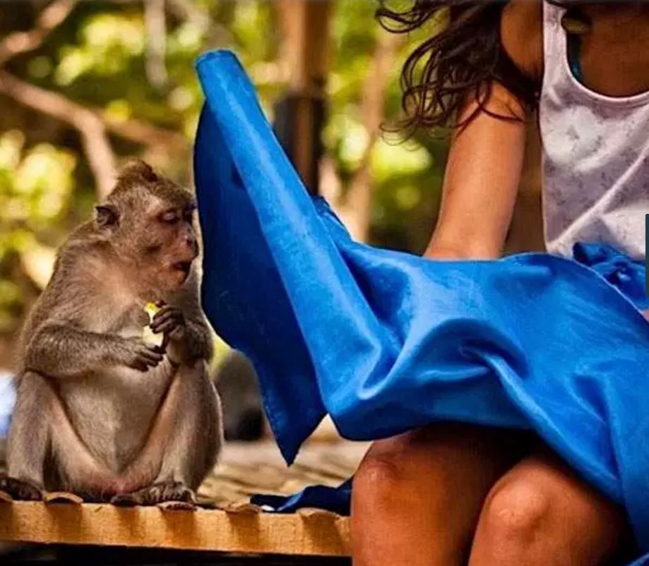 14-girls-and-monkeys-perfectly-timed-pics