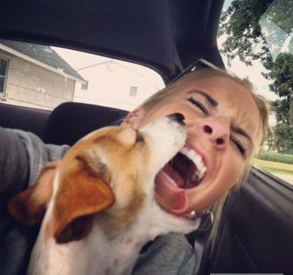 15-these-photos-prove-that-not-all-animals-love-girls