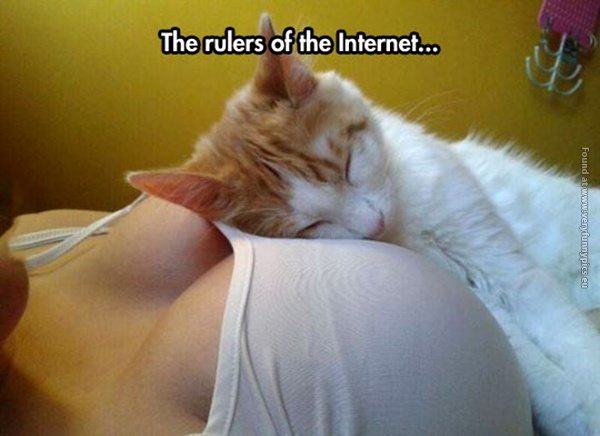15-woman-and-kitten-internet-fun