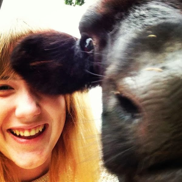 2-animal-and-human-selfies-hilarious-awesome