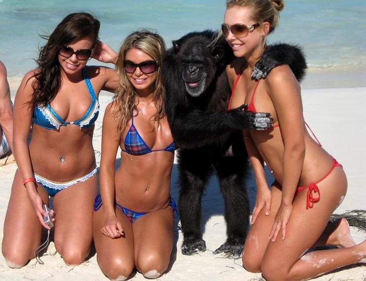 2-girls-and-monkeys-perfectly-timed-pics
