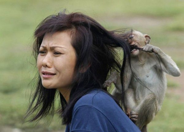 20-these-photos-prove-that-not-all-animals-love-girls