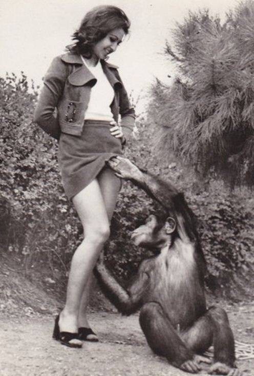 5-girls-and-monkeys-perfectly-timed-pics