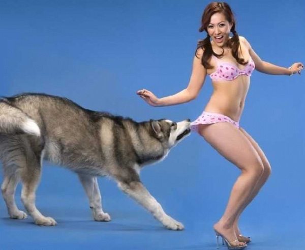 6-girl-dog-photoshoot-fail