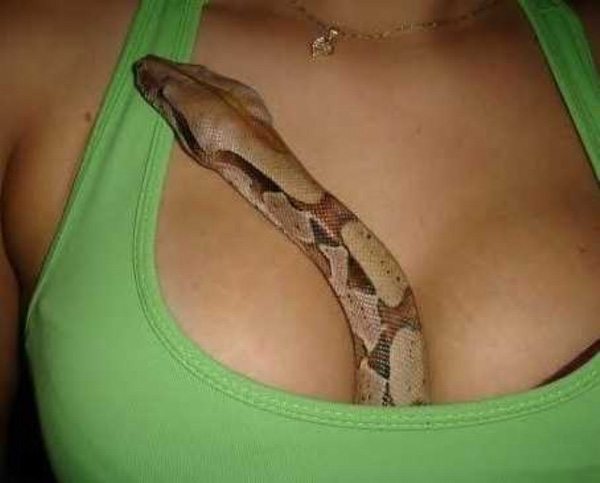 8-snake-sneaking-on-girl