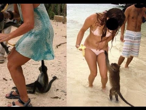 9-girls-and-monkeys-perfectly-timed-pics