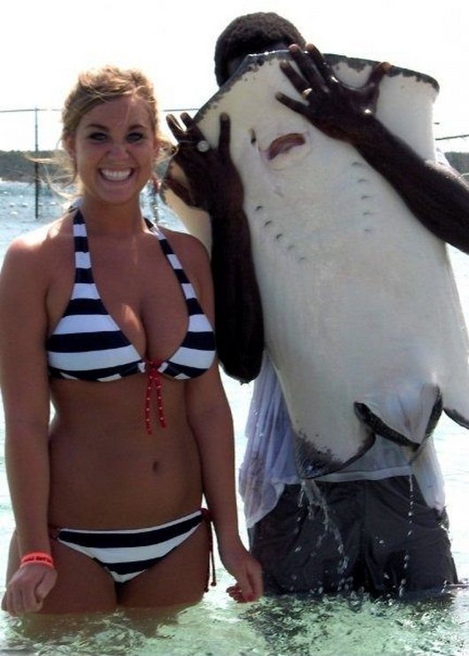 21-animal-photobombs-that-made-pics-even-more-hilarious