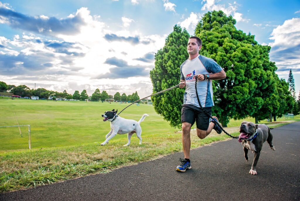 running-with-dogs