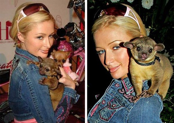 famous-people-with-exotic-pets-3