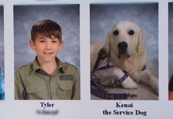 dog-in-school-pics-9