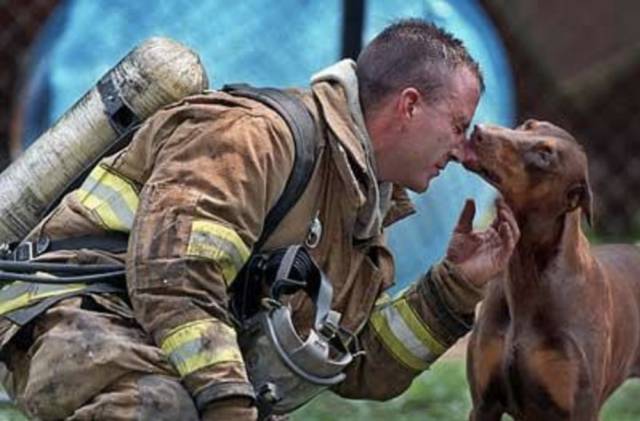 10-heartbreaking-pics-animals-saving-pets