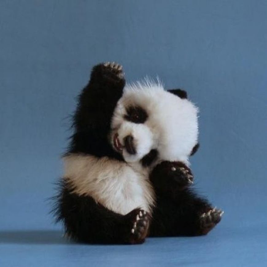 6-times-pandas-were-way-too-cute-to-handle