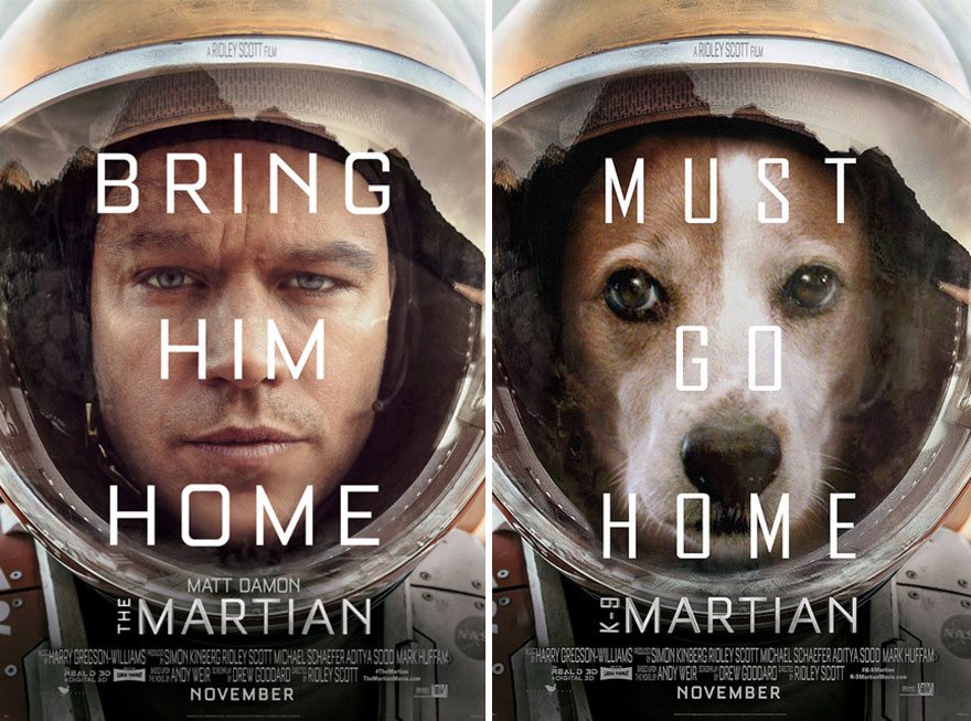 This Dog Into Movie Posters Is Amazing Page 10 Animal