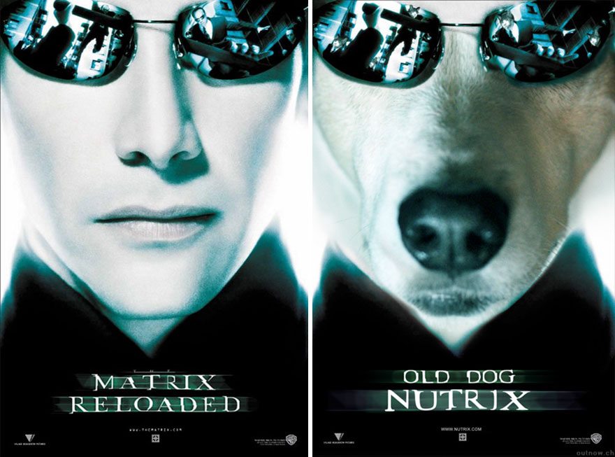 Dog-Movie-Posters-7