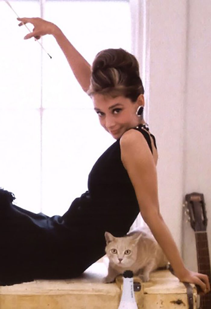 celebrities-and-cats-10