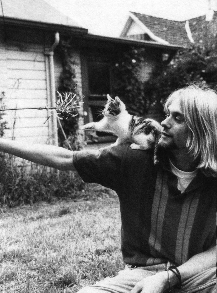 celebrities-and-cats-2