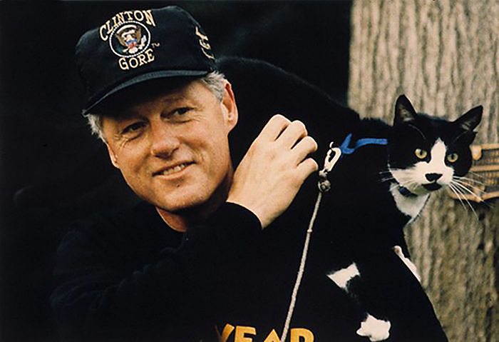 celebrities-and-cats-3