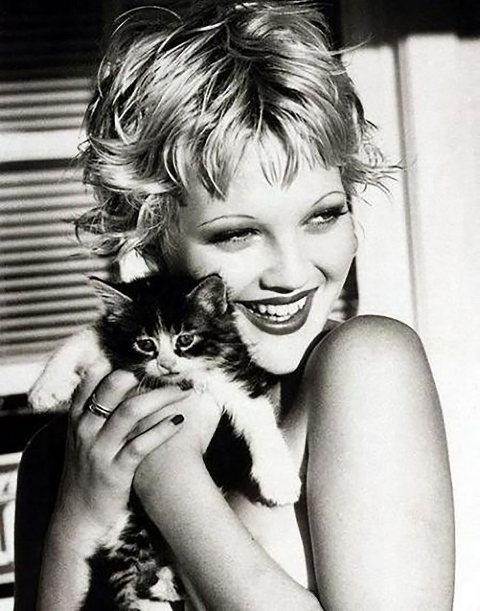 celebrities-and-cats-4