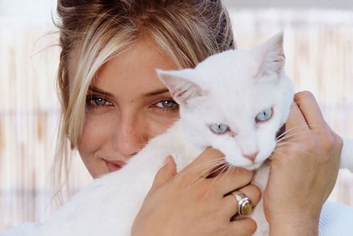 celebrities-and-cats-7