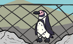 cute-penguin-7