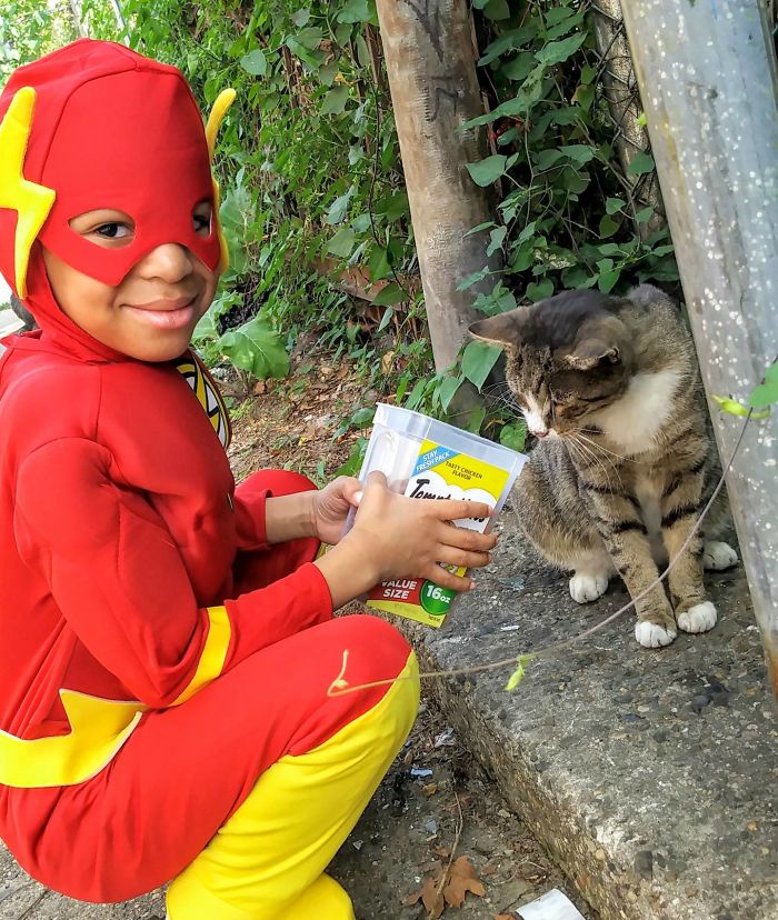 4-superhero-cats-saving
